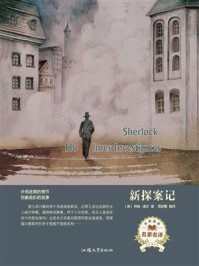 新探案记