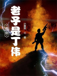亮剑：老子是丁伟