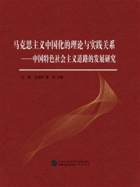 马克思主义中国化的理论与实践关系:中国特色社会主义道路的发展研究