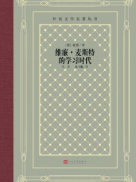维廉·麦斯特的学习时代