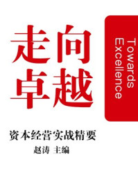 走向卓越：中小企业资本经营实战精要