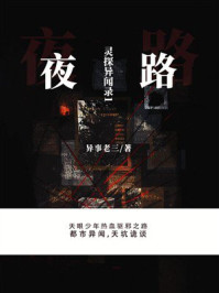 灵探异闻录1：夜路