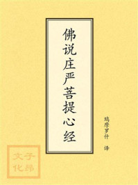 点校本：佛说庄严菩提心经