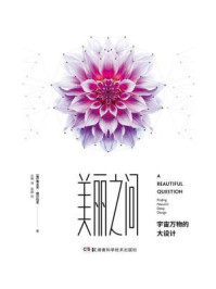 美丽之问:宇宙万物的大设计
