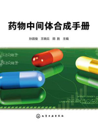 药物中间体合成手册