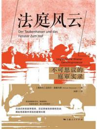 法庭风云：不可思议的庭审实录