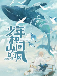 少年和山间的风