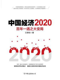 中国经济2020