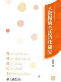 大数据侦查法治化研究