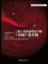 新工业革命背景下的中国产业升级