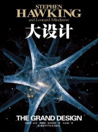 大设计
