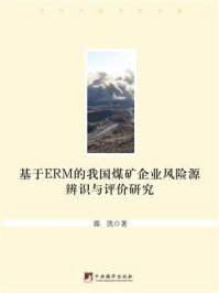 基于ERM的我国煤矿企业风险源辨识与评价研究