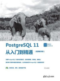 PostgreSQL 11从入门到精通(视频教学版)