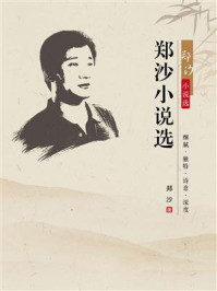 郑沙小说选