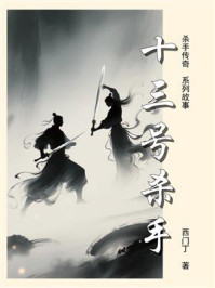 杀手传奇（13）：十三号杀手