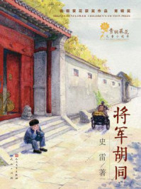 青铜葵花获奖作品：将军胡同