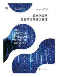 数字化项目全生命周期建设管理
