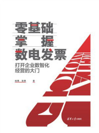 零基础掌握数电发票