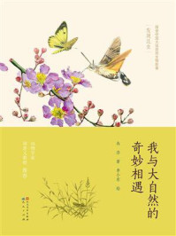 发现昆虫