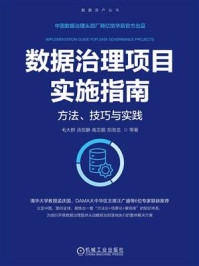 数据治理项目实施指南：方法、技巧与实践