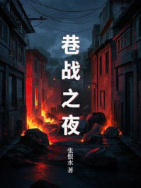 巷战之夜