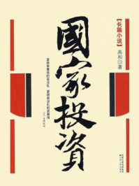 国家投资
