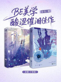 BE美学酸涩催泪套装2册
