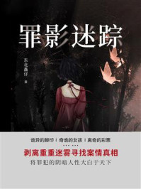 罪影迷踪（第6卷）