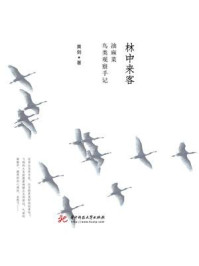 林中来客：油麻菜鸟类观察手记