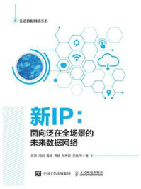 新IP:面向泛在全场景的未来数据网络
