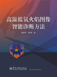 高温低氧火焰图像智能诊断方法