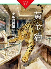 黄金豹:少年侦探团13