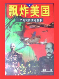 飘炸美国：一个真实的故事