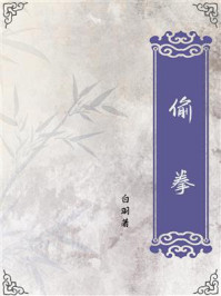 偷拳