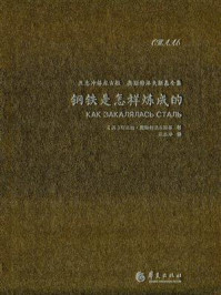 钢铁是怎样炼成的