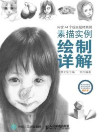 素描实例绘制详解