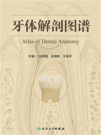 牙体解剖图谱