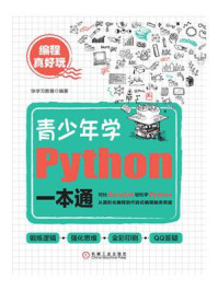 编程真好玩：青少年学Python一本通