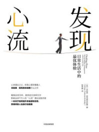 发现心流:日常生活中的最优体验