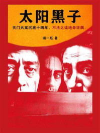 太阳黑子（曹保平电影《烈日灼心》原著小说）