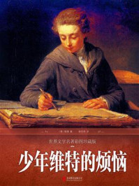 少年维特的烦恼