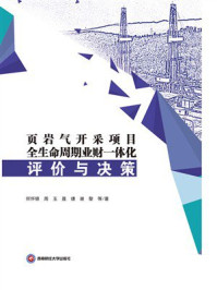 页岩气开采项目全生命周期业财一体化评价与决策