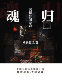 灵探异闻录3：魂归