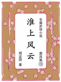 淮上风云：续《黑凤凰》