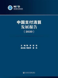 中国支付清算发展报告（2020）