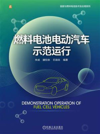 燃料电池电动汽车示范运行