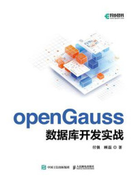 openGauss数据库开发实战
