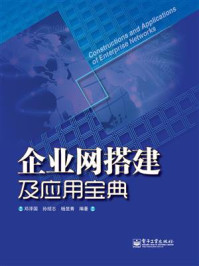 企业网搭建及应用宝典