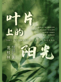 叶片上的阳光