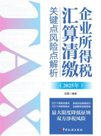 企业所得税汇算清缴关键点风险点解析（2025年）